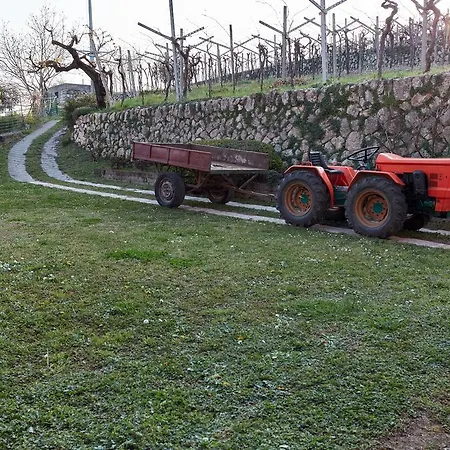 Antico Frantoio *